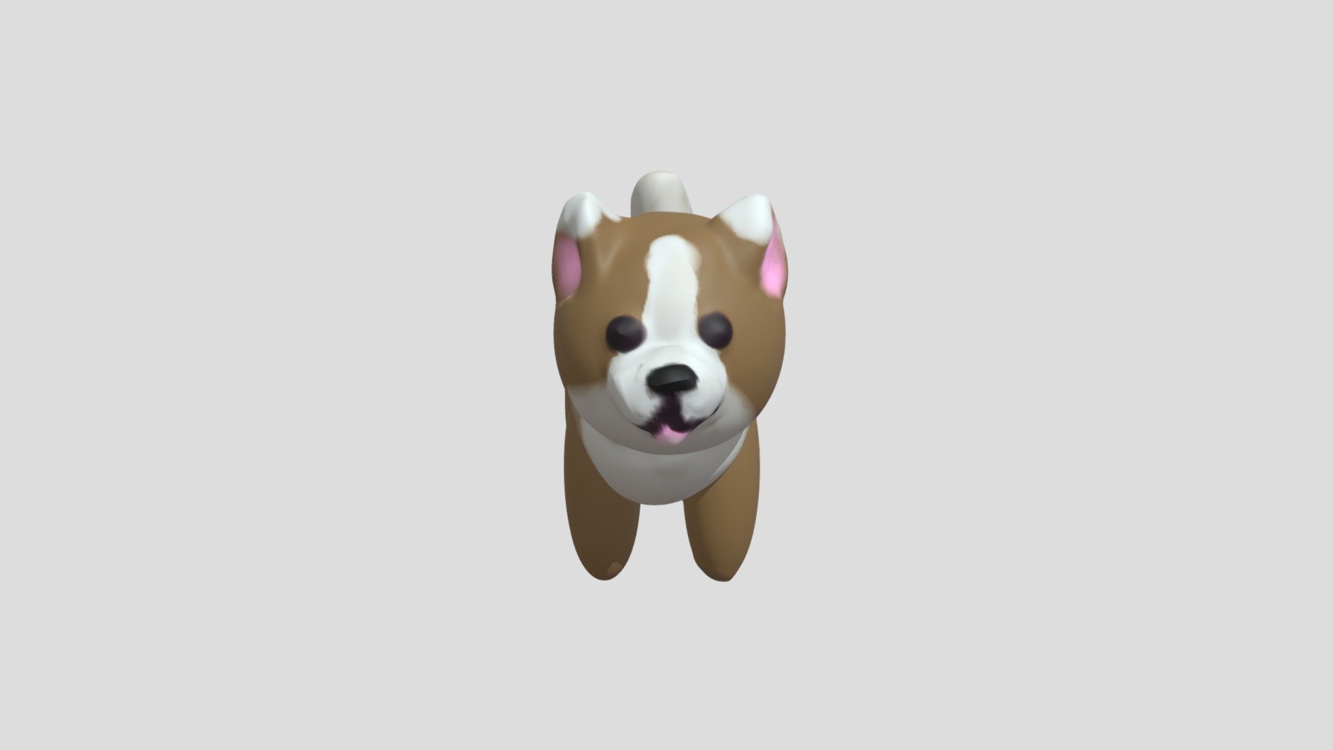 Wierd little doggy
