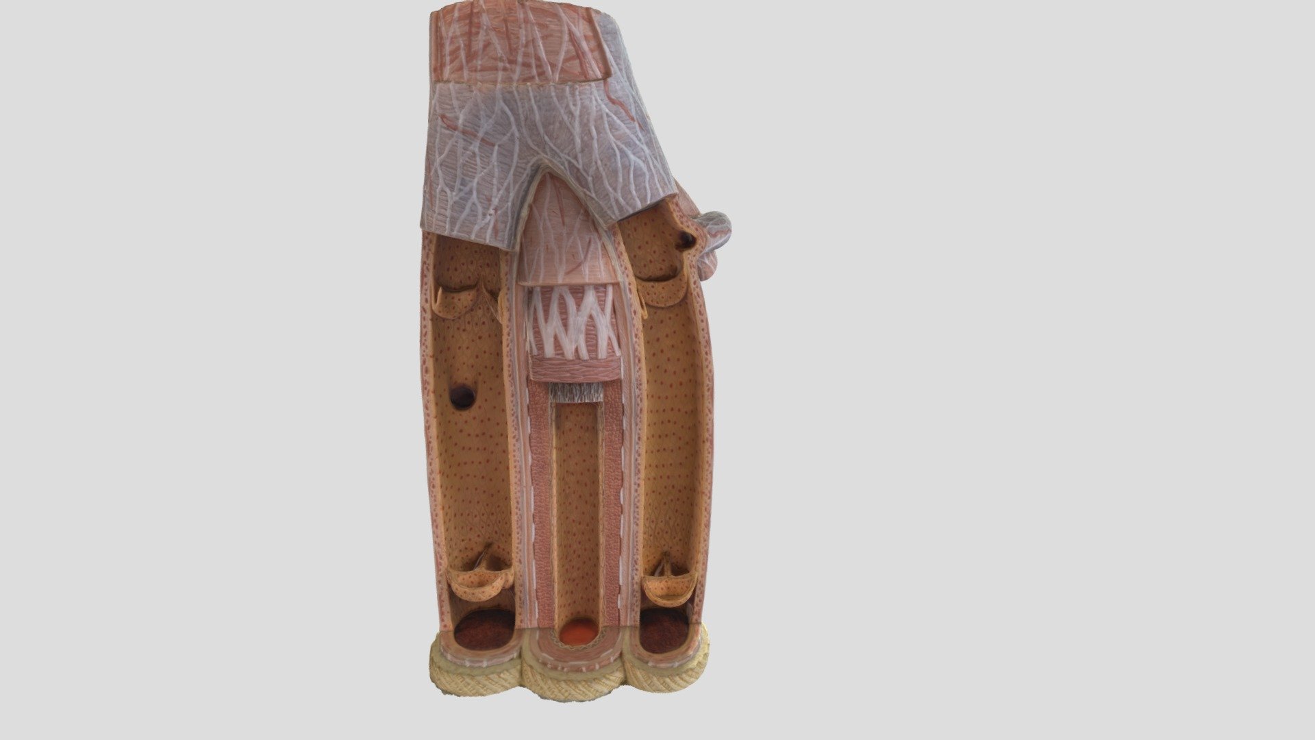 3D Model