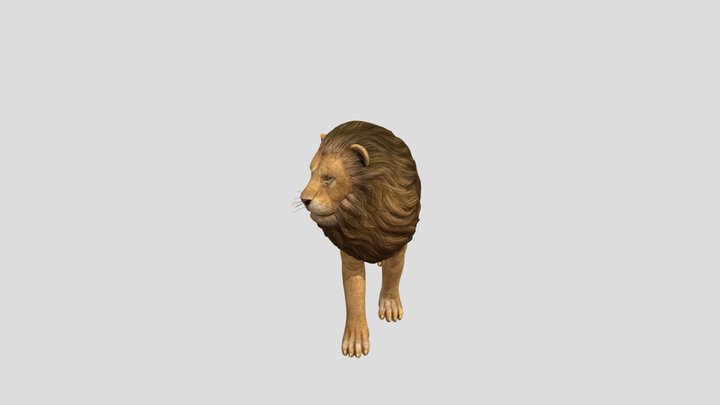 Lion 3D Model