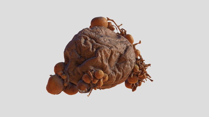 an old potato 3D Model
