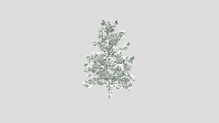 Pine under snow – Free 3D Model STL
