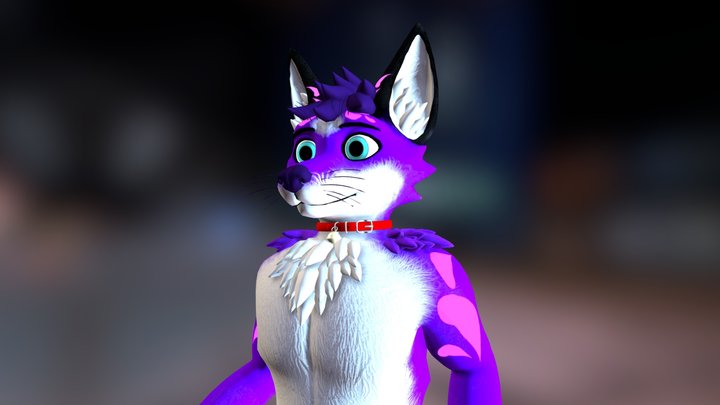 Furry Fox 3D Model