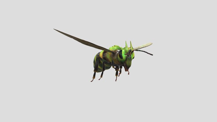 Demon Bee Full Texture – Free 3D Model STL