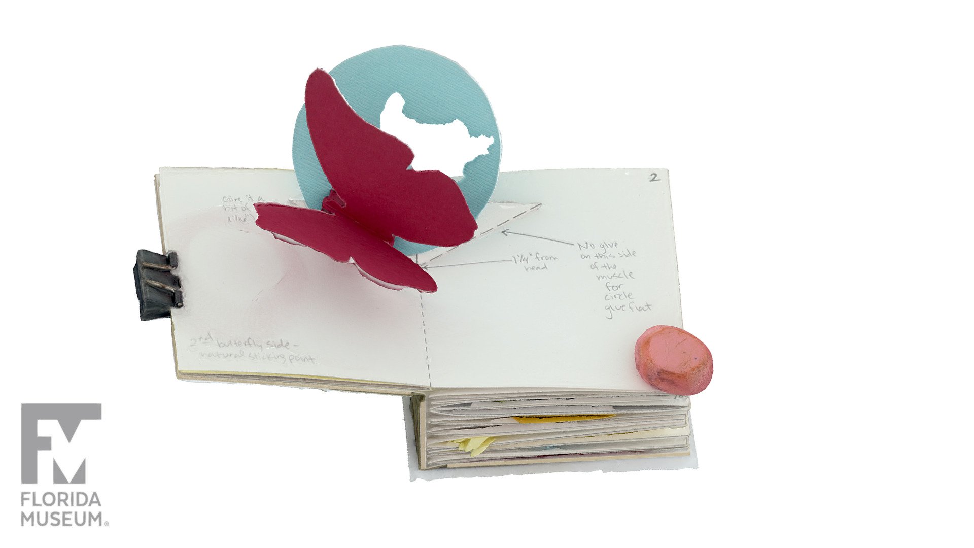 Butterfly popup book 3D model by FloridaMuseum [8045c0c] Sketchfab