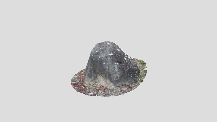 Rockkkkkkkkkk 3D Model