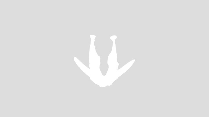 Animal Jawbone