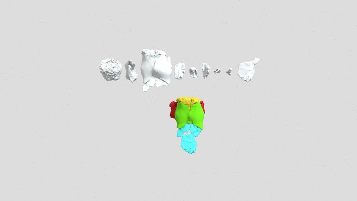 Juvenile Rhinocerotinae - Melpignano 3D Model