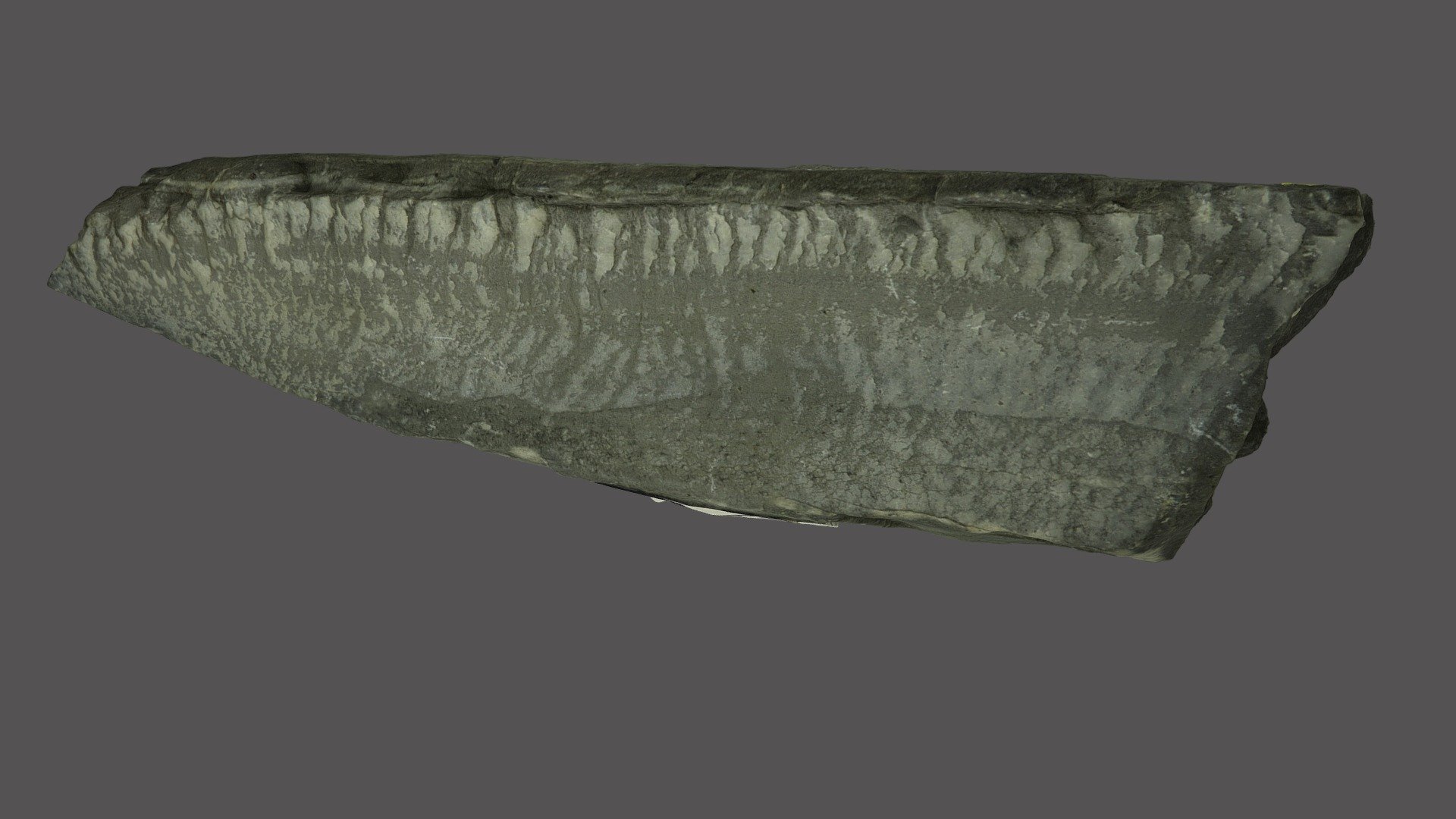 Joint surface with ornamentation 2, Germany