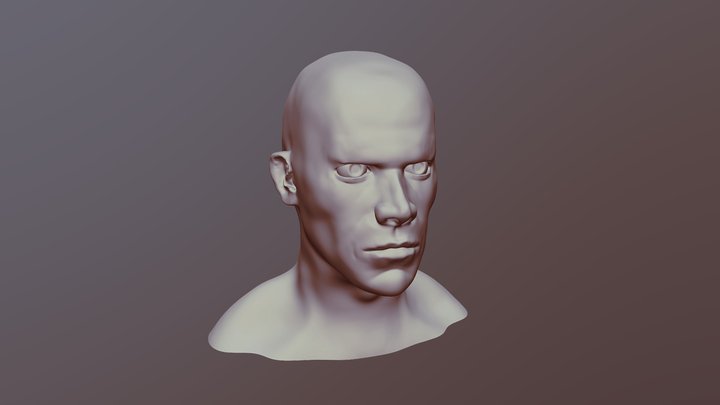Headsculpt 2 3D Model