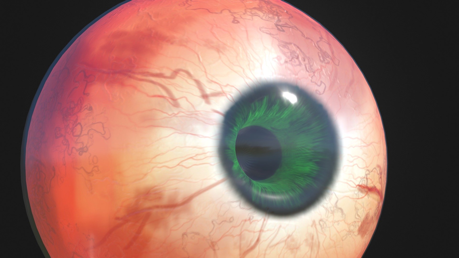 20180717 Eyeball/眼球