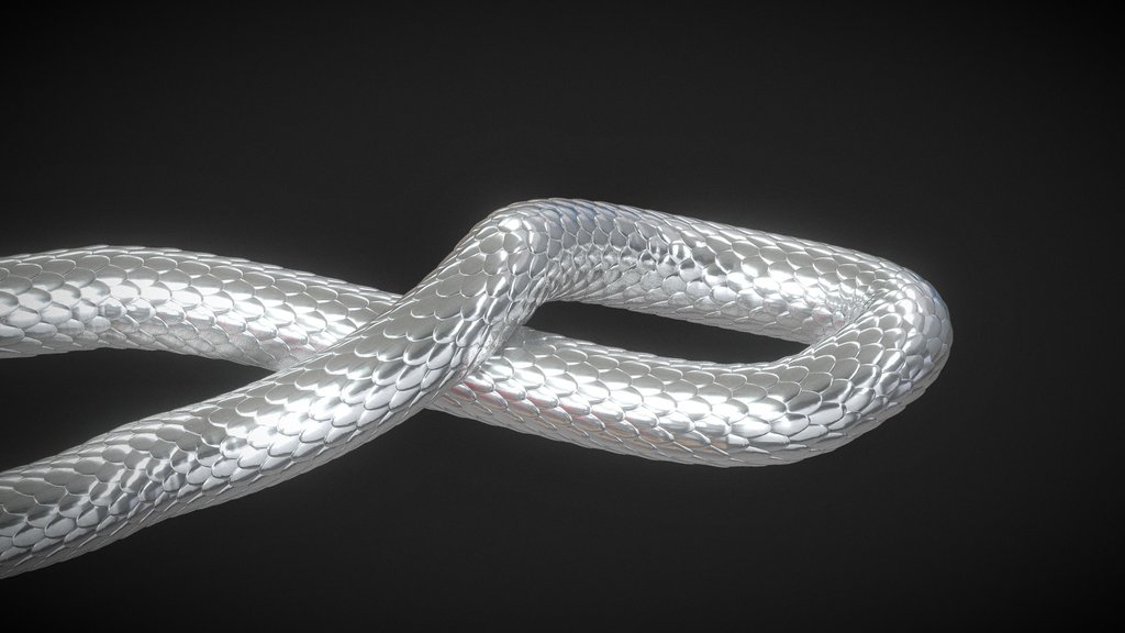 Snake skin