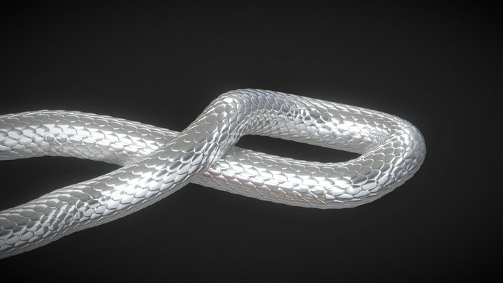 Snake skin