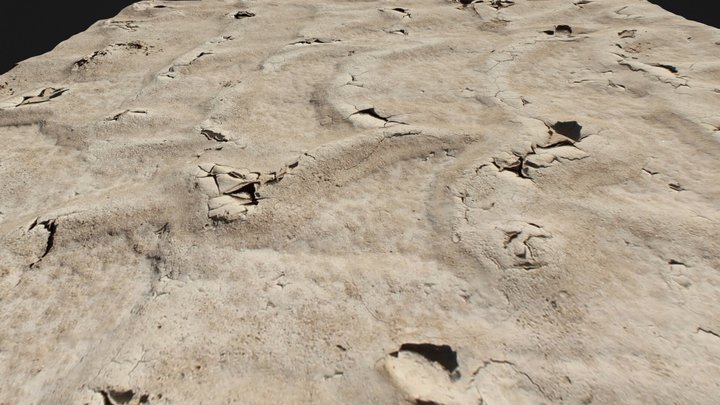 Ripples 3D Model