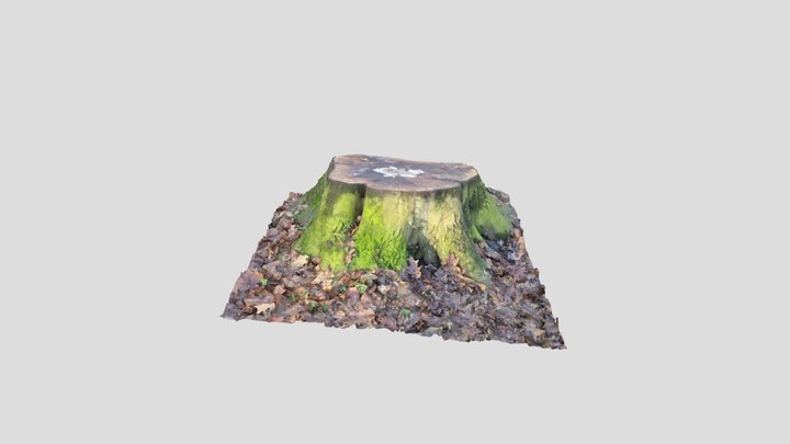 Wood 3