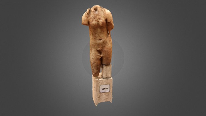 Venus 2016 Musée de Tipasa Algérie 3D Model