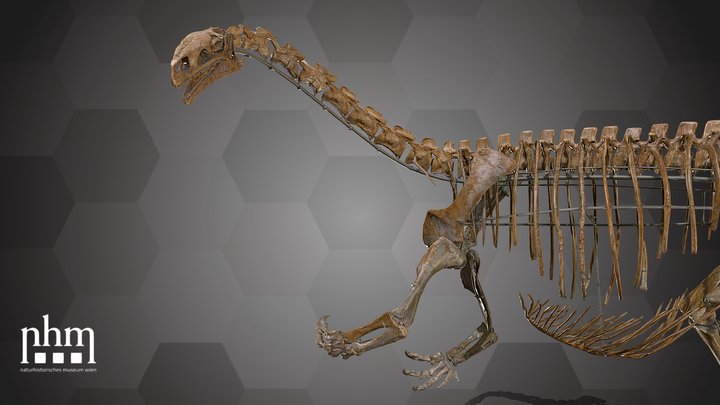 Plateosaurus Skeleton 3D Model