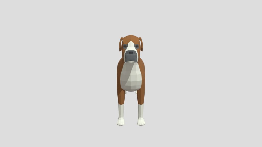 Low Poly Boxer Dog