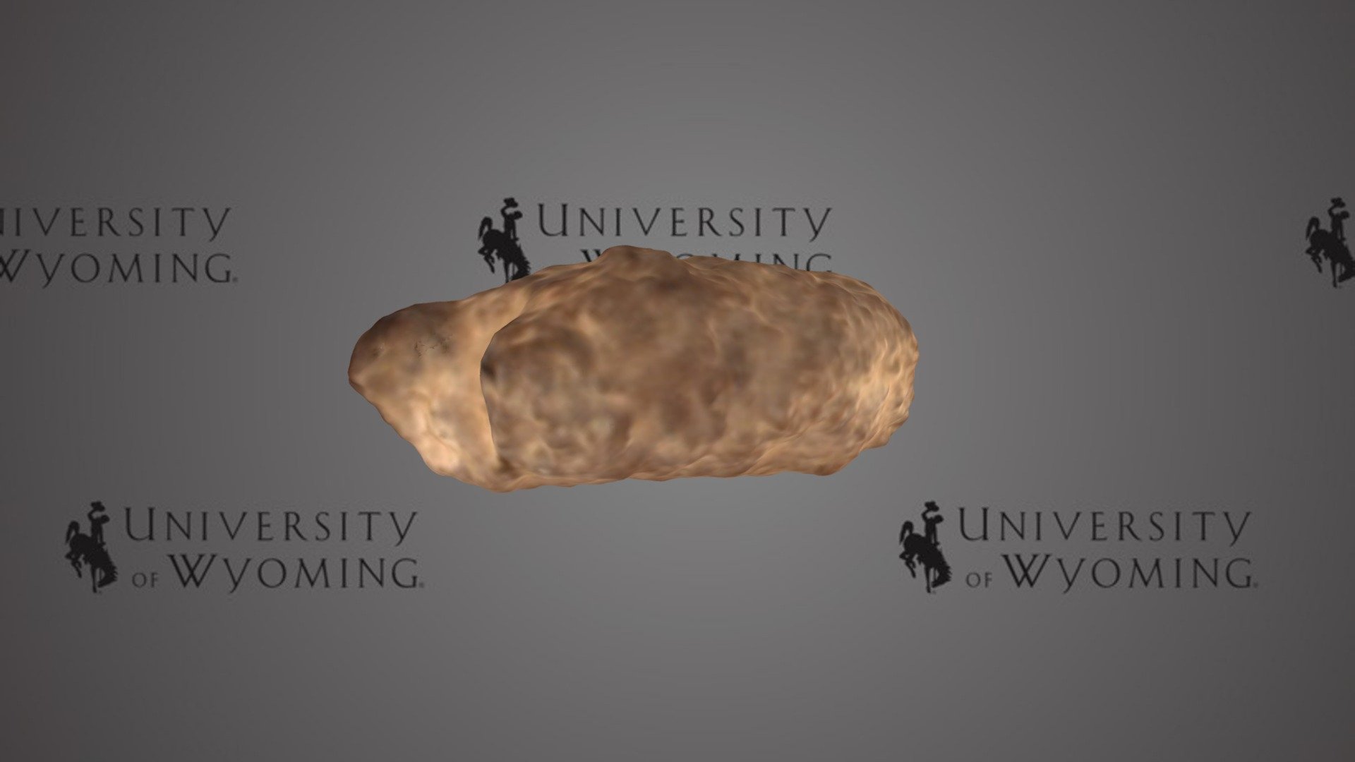 UW 953 - Vertebrata, Coprolite B