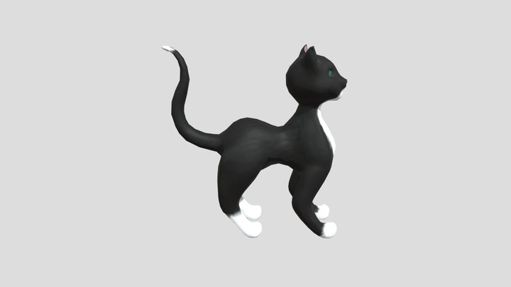 cat_final 3D Model