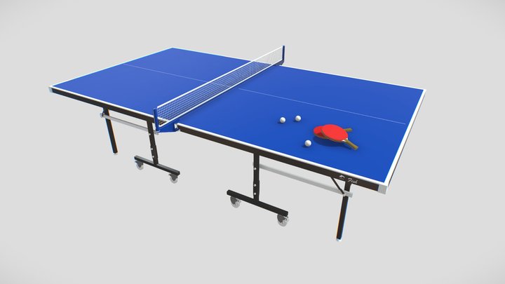 Table Tennis with paddles 3D Model