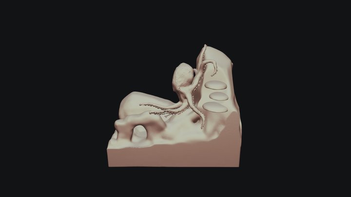 Octopus 3D Model