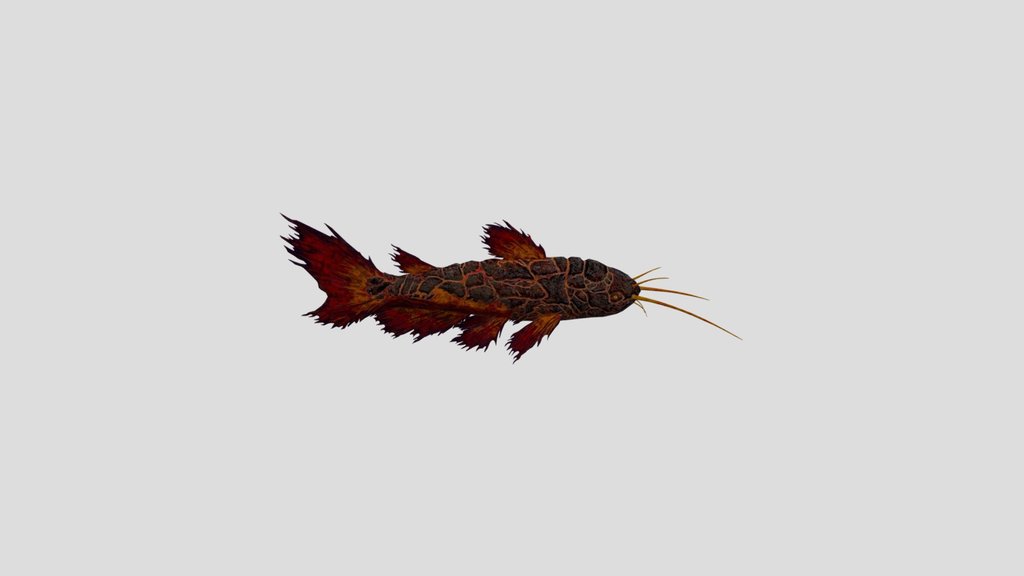 Lava Catfish