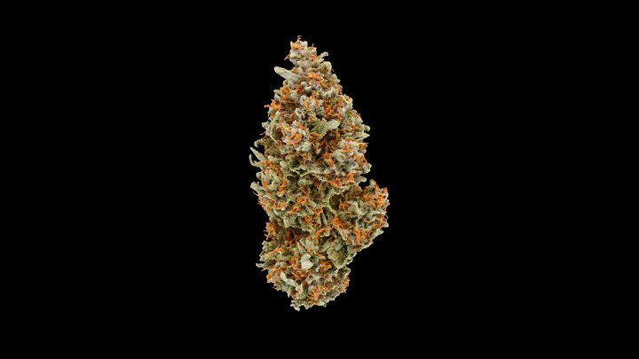 Northern Lights — Cannabis Model 3D Model