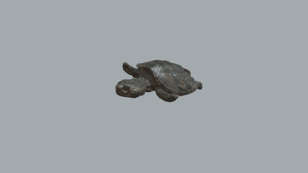 Turtle (TREC)