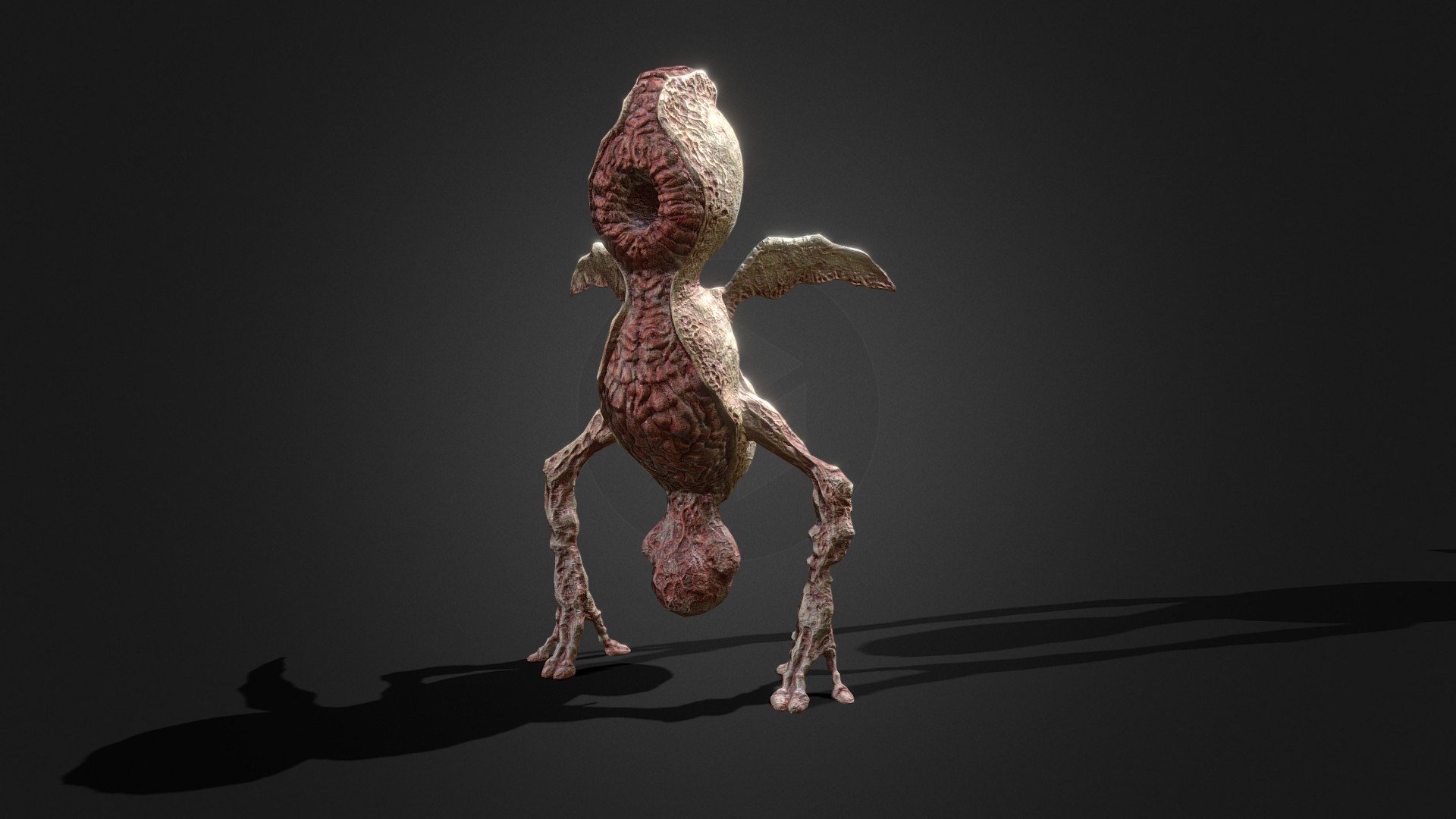 Chicken - Download Free 3D model by gavinpgamer1 [8083010] - Sketchfab