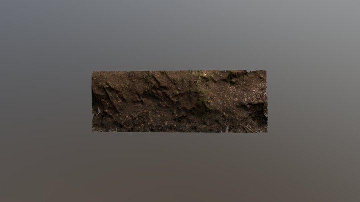 Creek Tex Base Tex Baked 3D Model