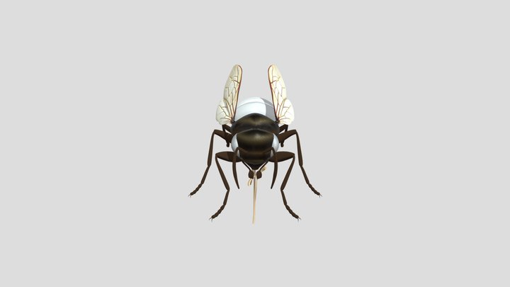 Bee for blender – Gratis 3D-model STL