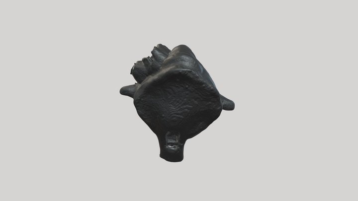 Maya Ocarina 3D Model