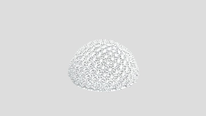 Coral Export3 3D Model