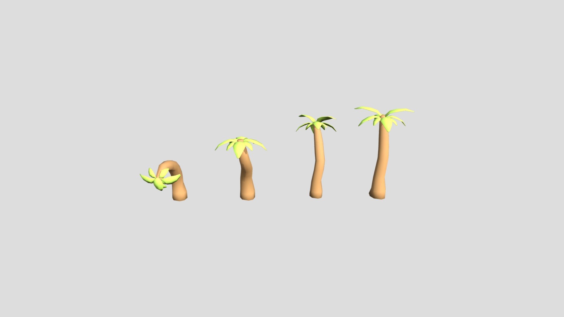 Palm trees