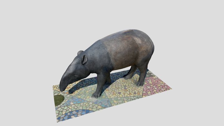 Baku(Tapirus) 3D Model