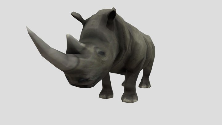 Rhrinoceros 3D Model
