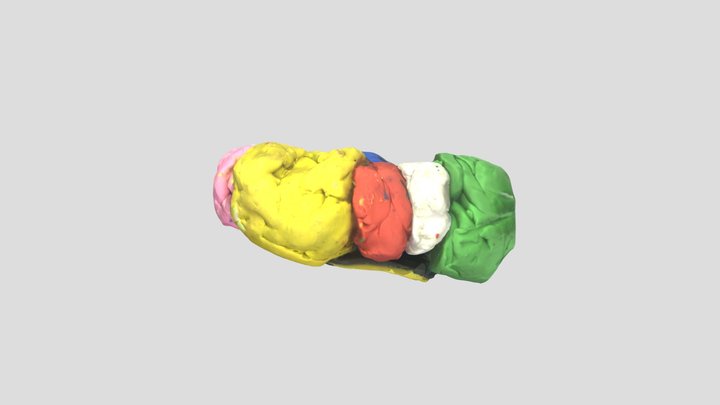 Innerbrain 3D Model