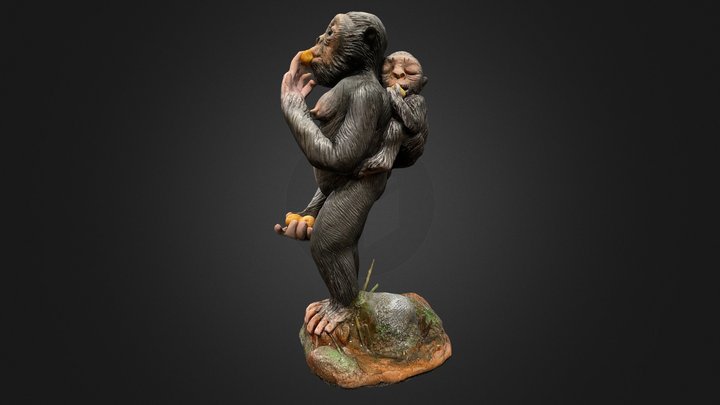 Ardi: Mother in the Mosaic 3D Model
