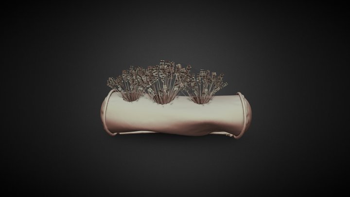 Flowers 3D Model