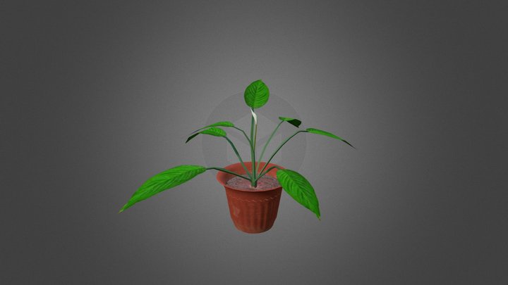Foliage 3D Model