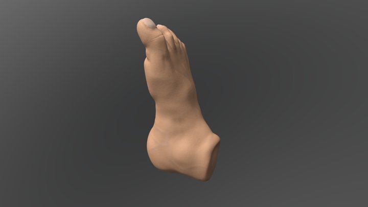 Self Foot sculpt 3D Model