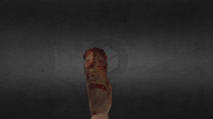 Severed Arm FPSC (Rigged and Animated by ME) 3D Model