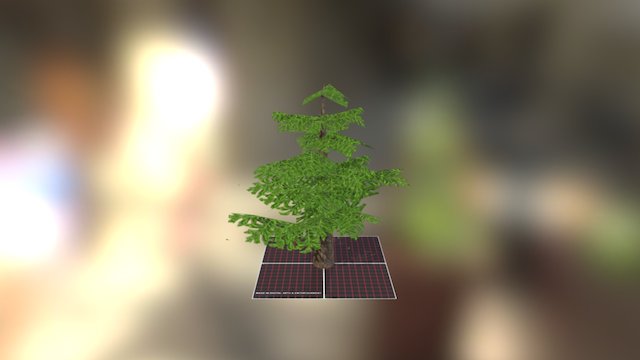 Tree 3D Model