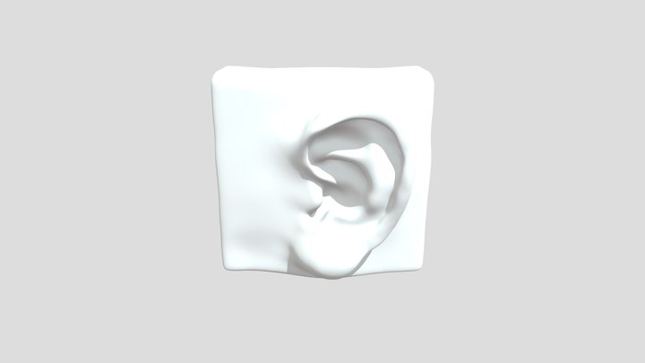 Ear1 3D Model