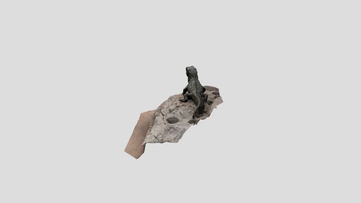 Iguana 3D Model