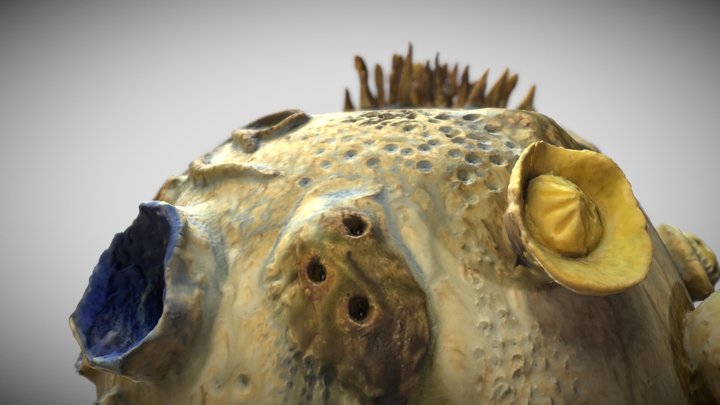 Little pottery planet 3D Model