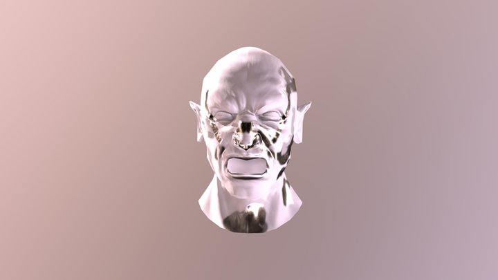 face 1 3D Model
