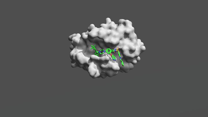 Surface map of BCL-2 in complex with venetoclax 3D Model