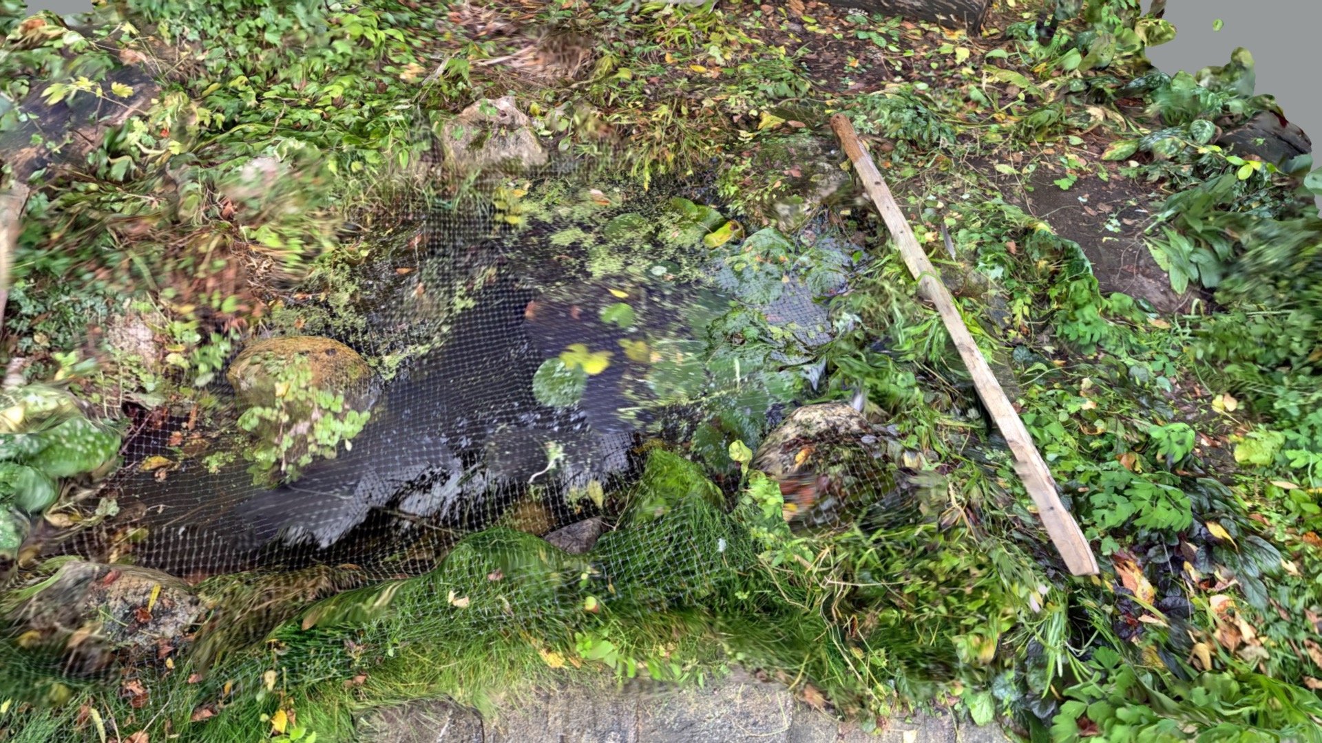 Pond_01