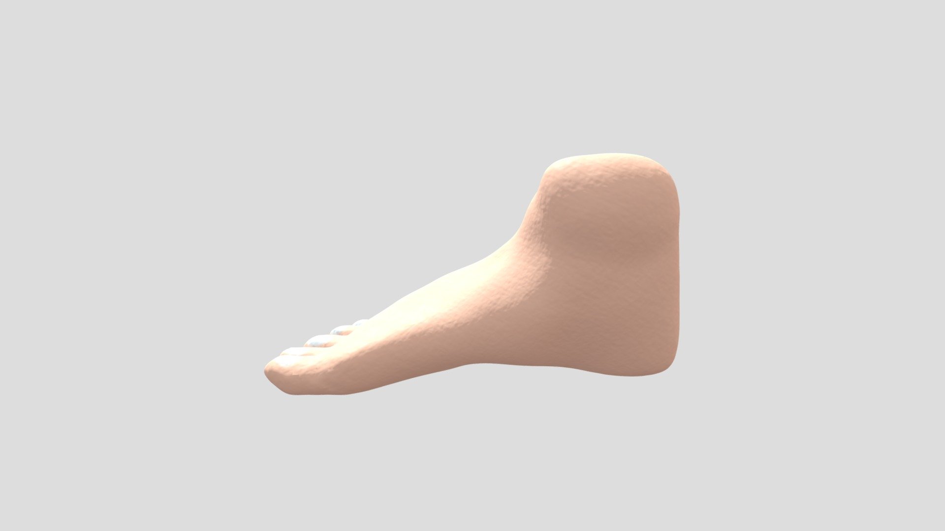Zbrush Foot